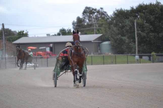 DSC_0132 (FILEminimizer)