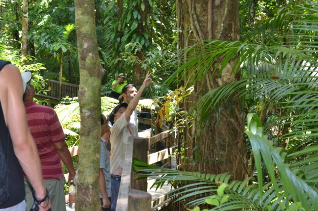 DSC_0132 (FILEminimizer)