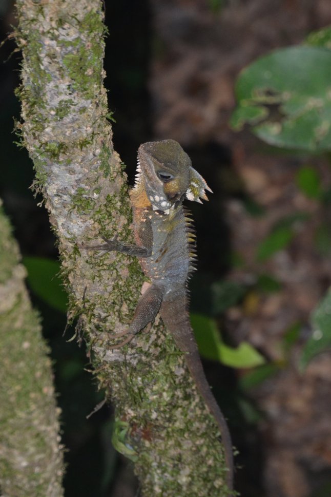 DSC_0144 (FILEminimizer)