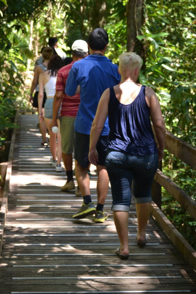 DSC_0147 (FILEminimizer)