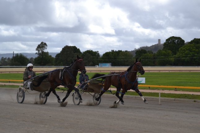 DSC_0154 (FILEminimizer)