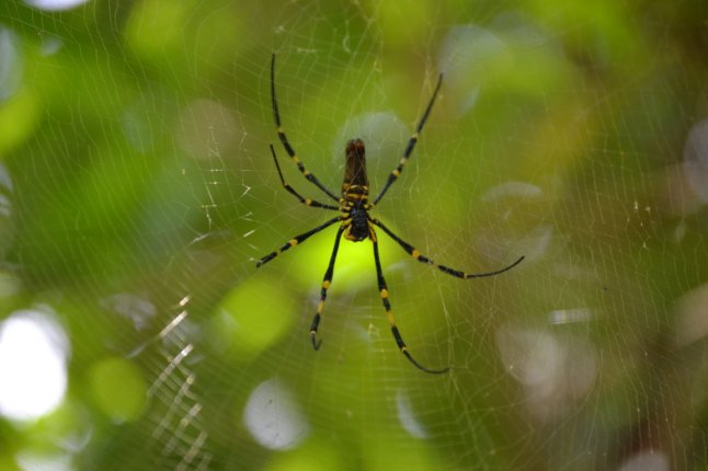 DSC_0162 (FILEminimizer)