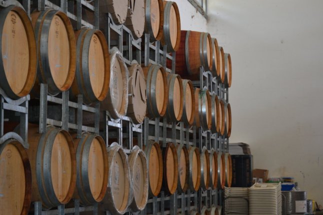 DSC_0169 (FILEminimizer)