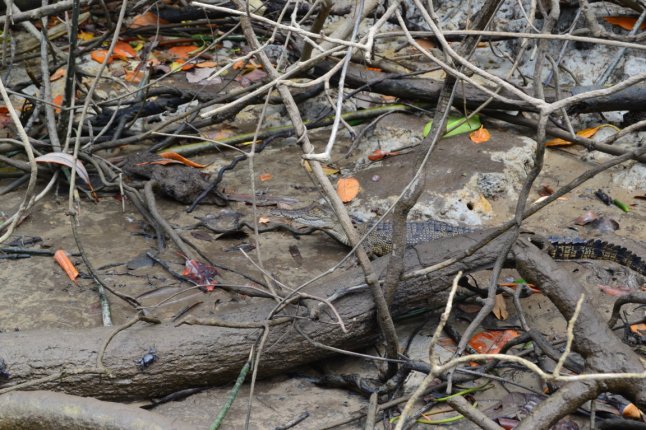 DSC_0179 (FILEminimizer)