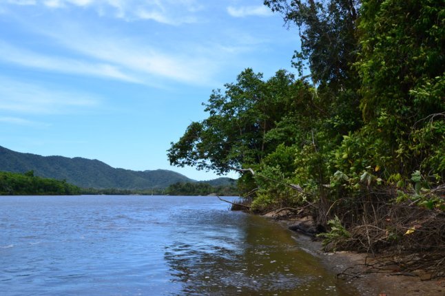 DSC_0181 (FILEminimizer)