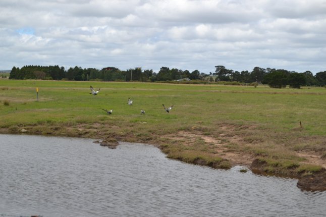 DSC_0202 (FILEminimizer)