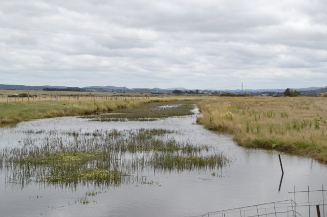 DSC_0204 (FILEminimizer)