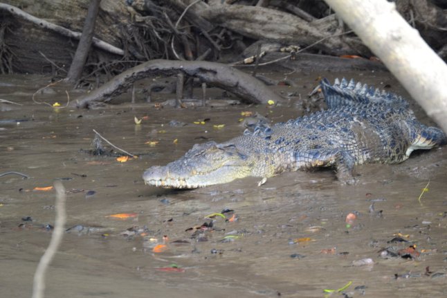 DSC_0211 (FILEminimizer)