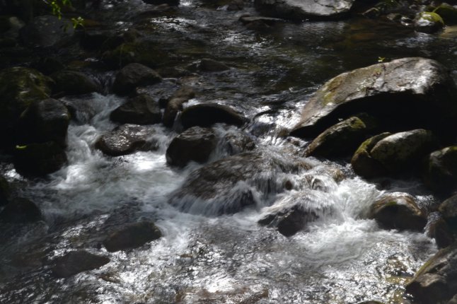 DSC_0241 (FILEminimizer)