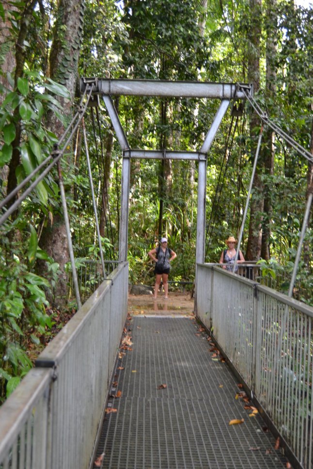 DSC_0244 (FILEminimizer)