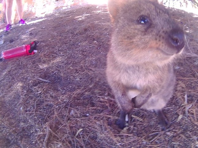 FHD0584 (FILEminimizer)