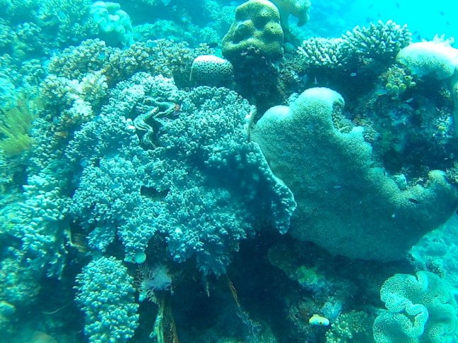 FHD0599 (FILEminimizer)