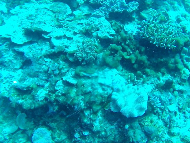 FHD0610 (FILEminimizer)