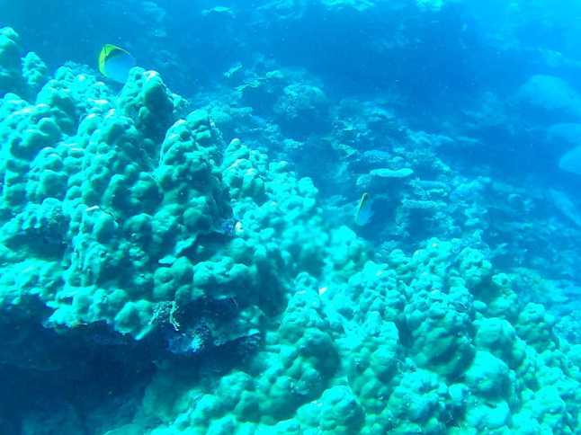 FHD0650 (FILEminimizer)