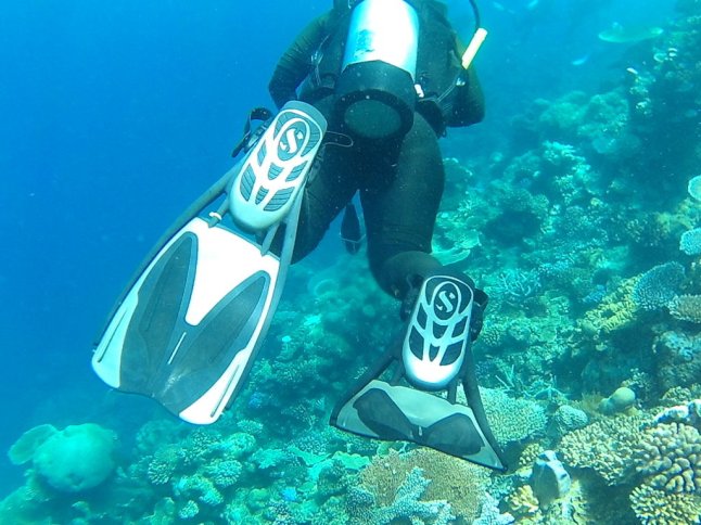 FHD0661 (FILEminimizer)