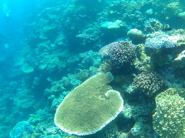 FHD0665 (FILEminimizer)