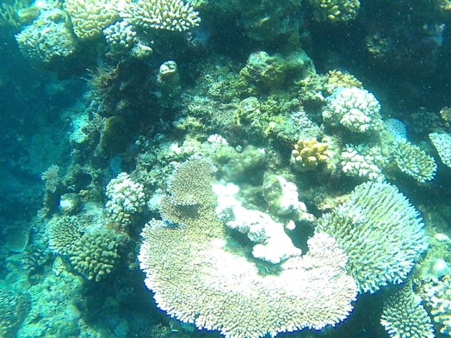 FHD0669 (FILEminimizer)