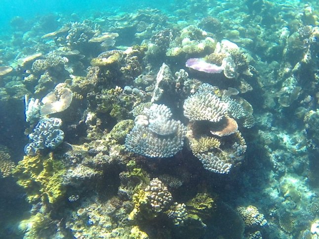 FHD0691 (FILEminimizer)