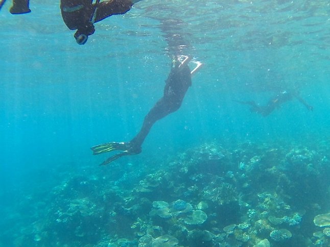 FHD0702 (FILEminimizer)