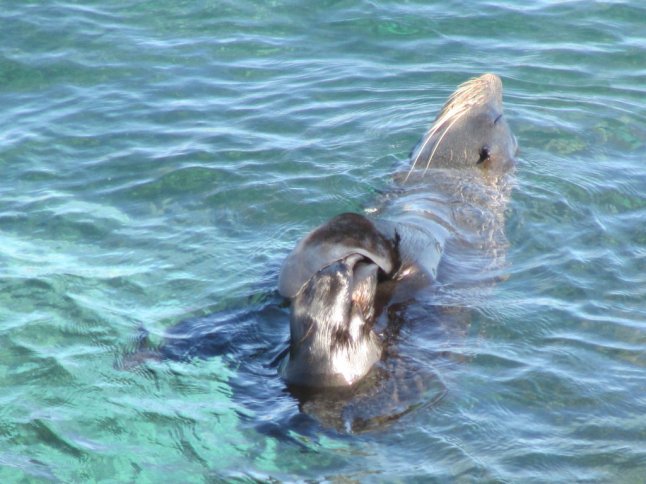 IMG_0166 (FILEminimizer)