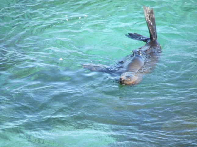 IMG_0169 (FILEminimizer)