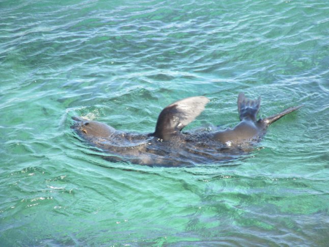 IMG_0171 (FILEminimizer)