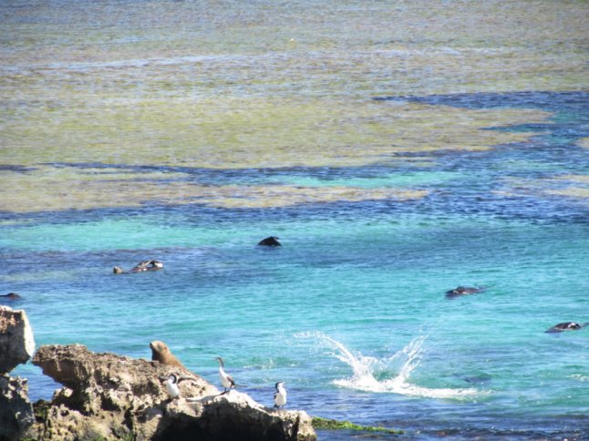 IMG_0208 (FILEminimizer)