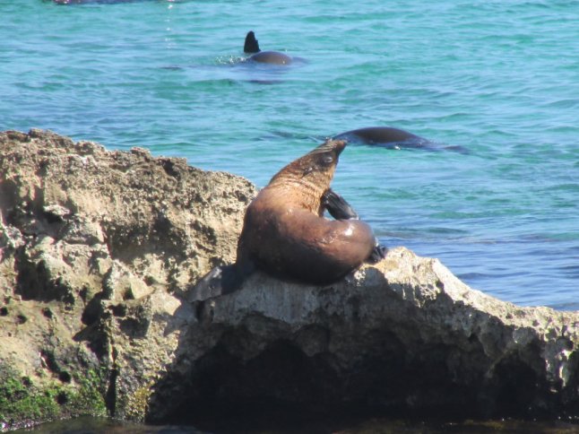 IMG_0213 (FILEminimizer)