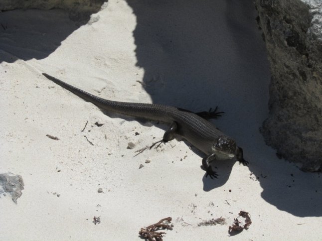 IMG_0248 (FILEminimizer)