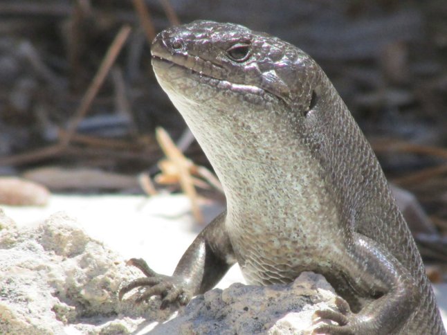 IMG_0256 (FILEminimizer)