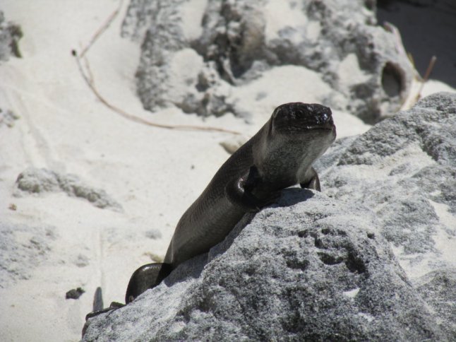 IMG_0259 (FILEminimizer)