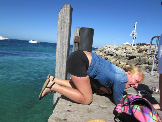 IMG_0345 (FILEminimizer)