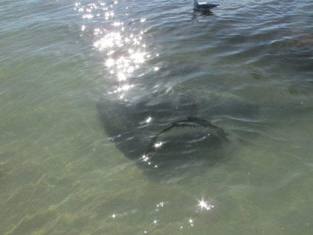 IMG_0390 (FILEminimizer)