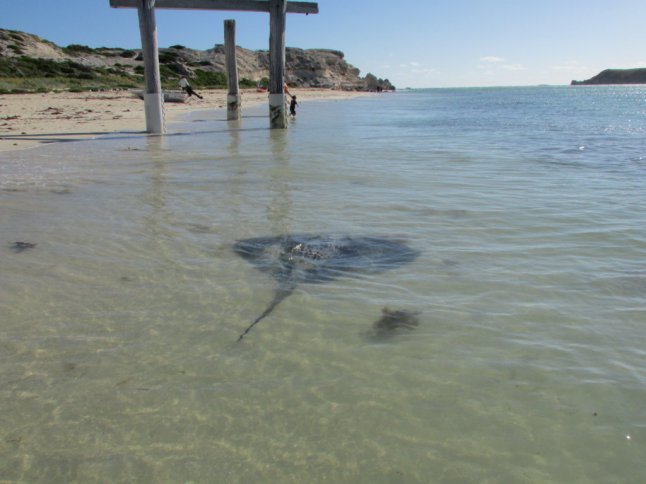 IMG_0392 (FILEminimizer)