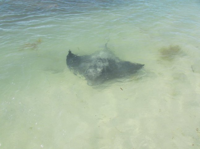 IMG_0407 (FILEminimizer)