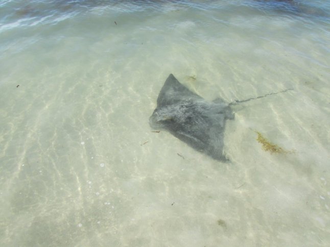 IMG_0416 (FILEminimizer)