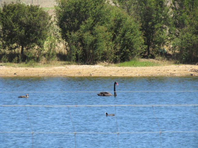 IMG_0498 (FILEminimizer)