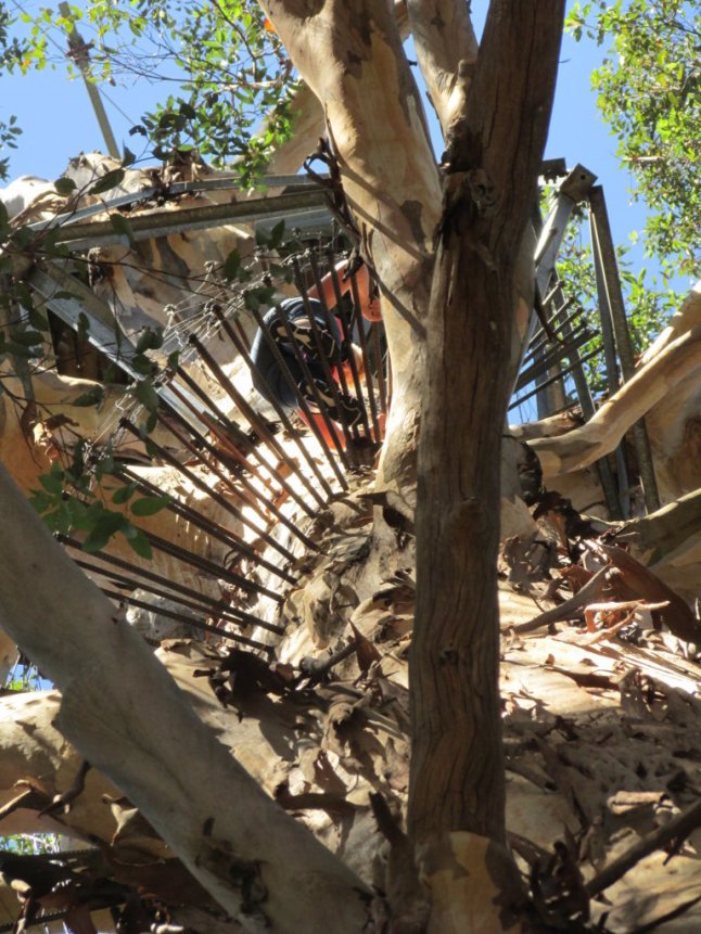 IMG_0538 (FILEminimizer)