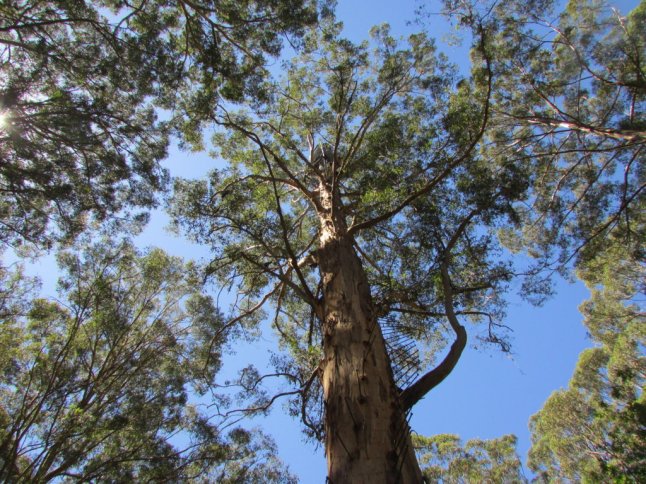 IMG_0543 (FILEminimizer)