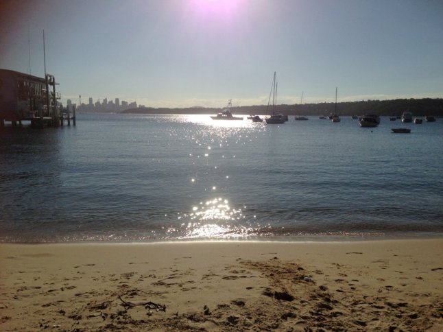 IMG_5330 (FILEminimizer)