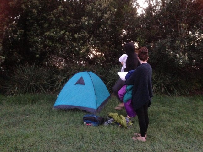 IMG_5350 (FILEminimizer)