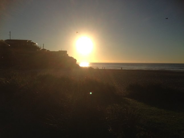 IMG_5356 (FILEminimizer)