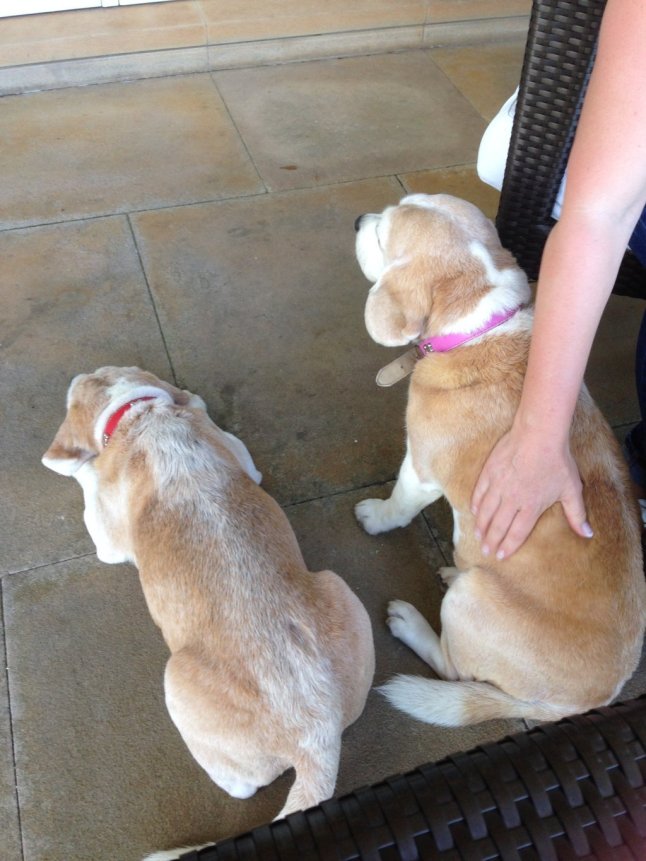 IMG_5517 (FILEminimizer)