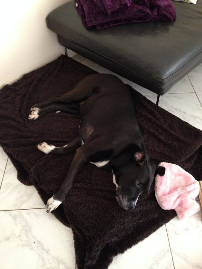 IMG_5553 (FILEminimizer)