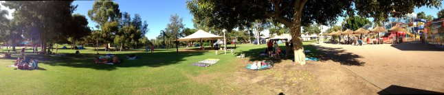 IMG_5599 (FILEminimizer)