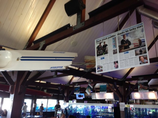 IMG_5638 (FILEminimizer)