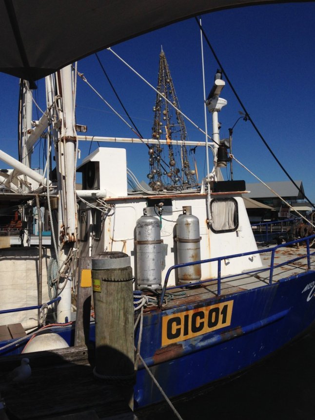 IMG_5642 (FILEminimizer)