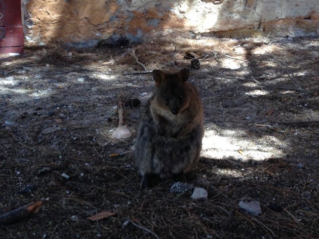 IMG_5673 (FILEminimizer)