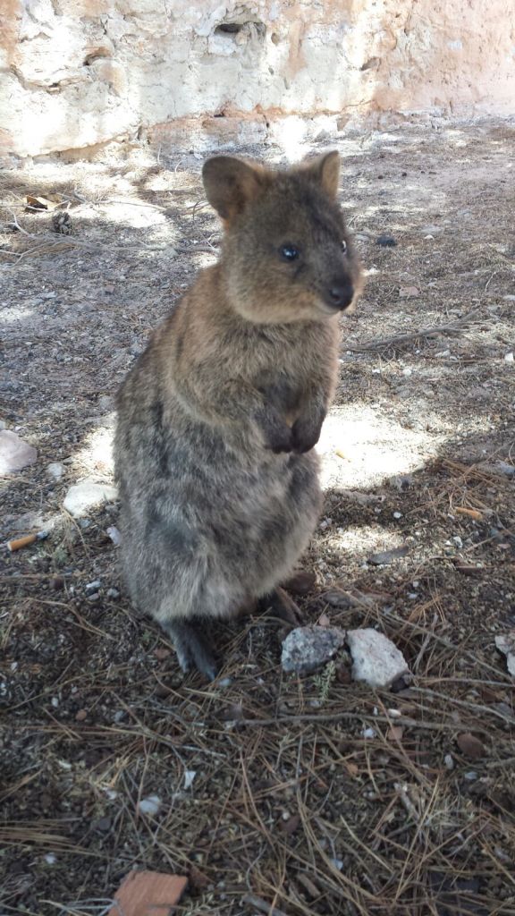 IMG_5683 (FILEminimizer)