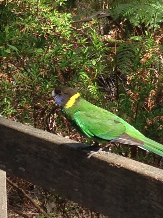 IMG_5814 (FILEminimizer)